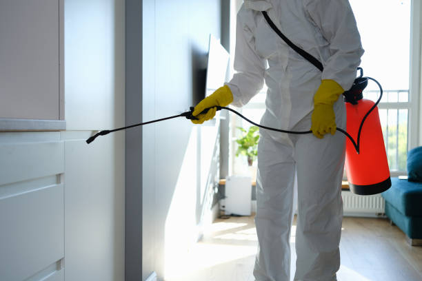Trusted North Enid, OK Mold Remediation Experts