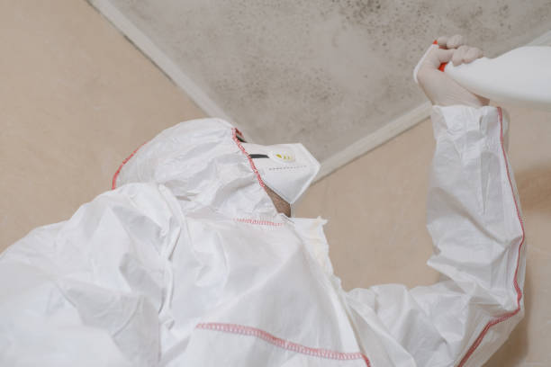 Best Insurance-Related Mold Remediation in North Enid, OK